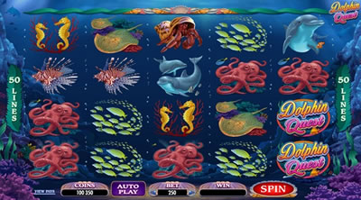 Dolphin Quest Slots