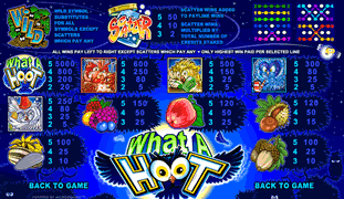 What a Hoot Online Slot Paytable