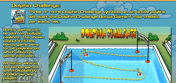 Kangaroo Zoo Dolphin Challenge Bonus Kangaroo Zoo Dolphin Challenge Bonus